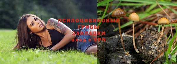 амф Алексин