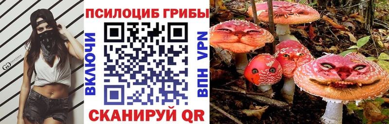 Псилоцибиновые грибы мухоморы Дятьково