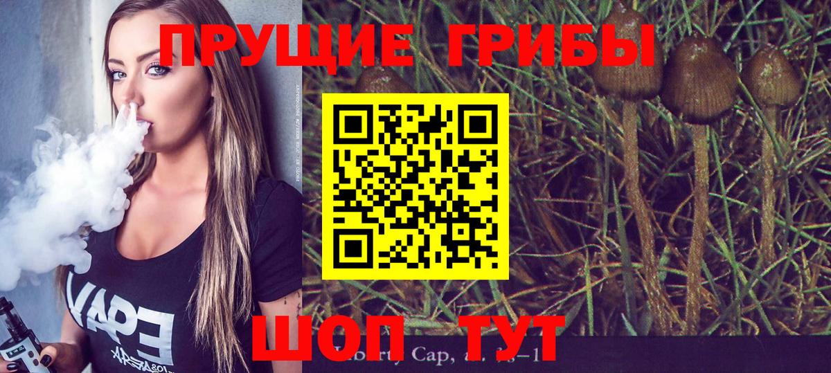 Галлюциногенные грибы прущие грибы  Вход с VPN  Дятьково 